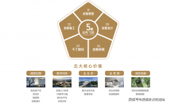 <b>项目以现代前锋从</b>